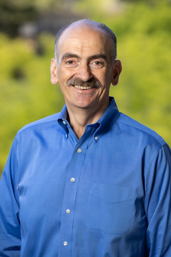 Mehrdad Shamloo