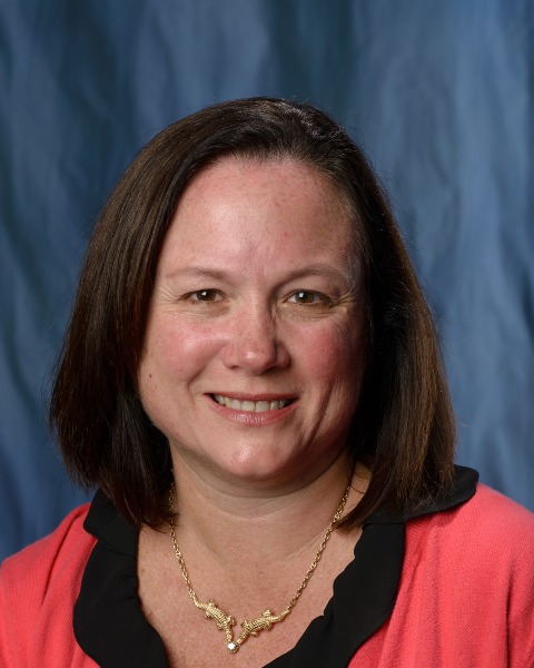 Carinda Feild, PharmD, FCCM photo