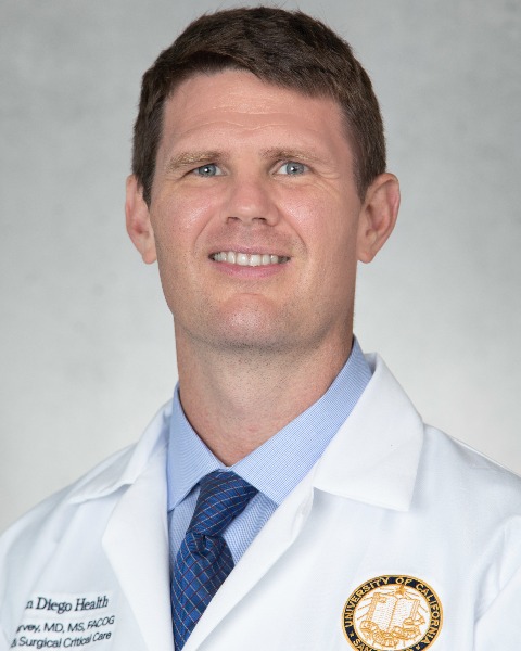 Scott A. Harvey, MD, MS, FACOG, FCCM photo