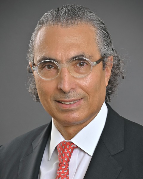 Bushra Mina, MD, FACP, FCCP photo