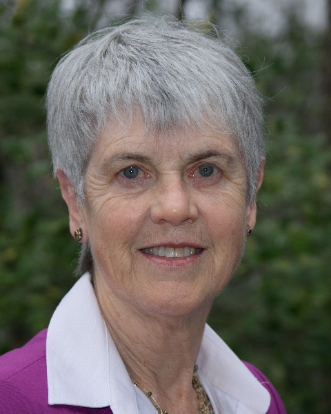 2020 Dietary Guidelines Advisory Committee: Lets Talk About the Evidence -