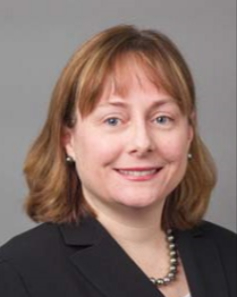 Image of Financing New Pumped Storage Development- roundtable dialogue