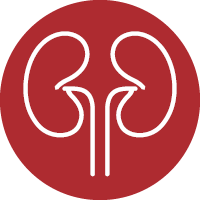 Renal-Urogenital