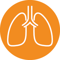 Thoracic / Respiratory