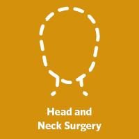 Honorable Mention in Head and Neck Surgery
