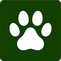 IACUC/Animal Care and Use